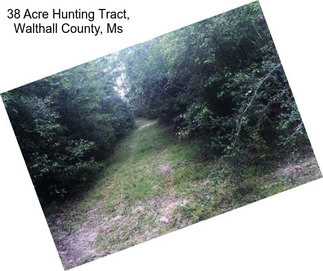 38 Acre Hunting Tract, Walthall County, Ms