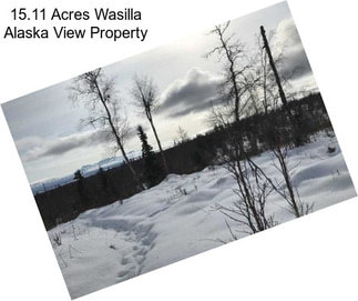 15.11 Acres Wasilla Alaska View Property