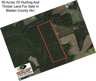 50 Acres Of Hunting And Timber Land For Sale In Bladen County Nc!