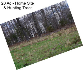 20 Ac - Home Site & Hunting Tract