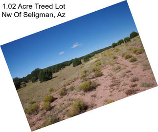 1.02 Acre Treed Lot Nw Of Seligman, Az