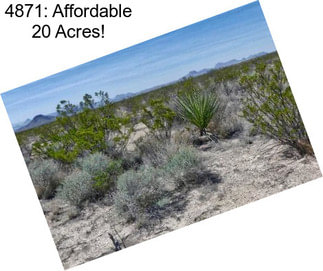 4871: Affordable 20 Acres!