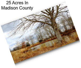 25 Acres In Madison County