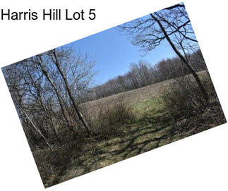 Harris Hill Lot 5