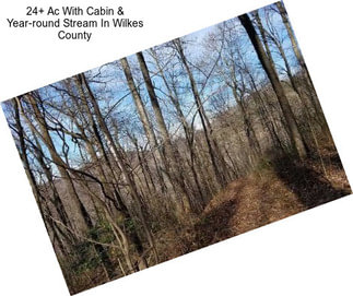 24+ Ac With Cabin & Year-round Stream In Wilkes County