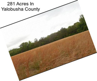 281 Acres In Yalobusha County