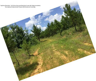 *big Price Reduction* - 90.76 Acre Surveyed Neshoba County, Ms Timber Investment, Recreational, Poultry/broiler Property With Numerous Home Sites