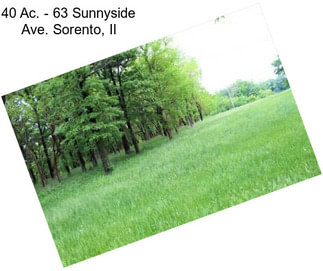 40 Ac. - 63 Sunnyside Ave. Sorento, Il