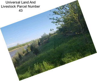 Universal Land And Livestock Parcel Number 43