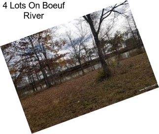 4 Lots On Boeuf River