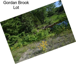 Gordan Brook Lot