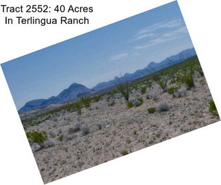 Tract 2552: 40 Acres In Terlingua Ranch