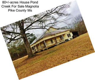 80+/-acres House Pond Creek For Sale Magnolia Pike County Ms