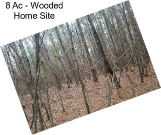 8 Ac - Wooded Home Site