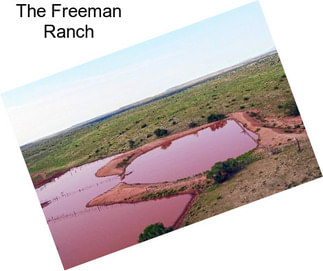 The Freeman Ranch