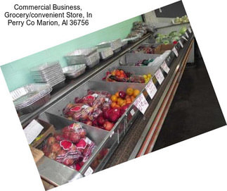 Commercial Business, Grocery/convenient Store, In Perry Co Marion, Al 36756