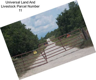 Universal Land And Livestock Parcel Number 11