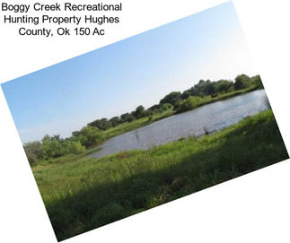 Boggy Creek Recreational Hunting Property Hughes County, Ok 150 Ac