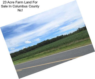 23 Acre Farm Land For Sale In Columbus County Nc!