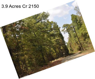 3.9 Acres Cr 2150