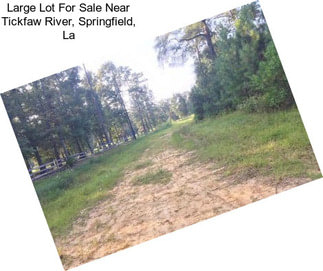 Large Lot For Sale Near Tickfaw River, Springfield, La