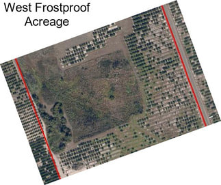 West Frostproof Acreage