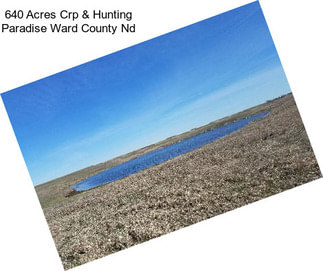 640 Acres Crp & Hunting Paradise Ward County Nd