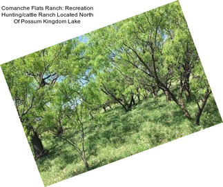 Comanche Flats Ranch: Recreation Hunting/cattle Ranch Located North Of Possum Kingdom Lake