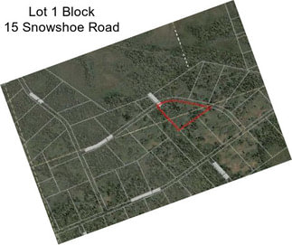 Lot 1 Block 15 Snowshoe Road