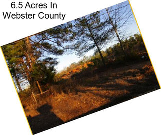 6.5 Acres In Webster County