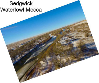 Sedgwick Waterfowl Mecca