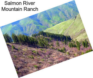 Salmon River Mountain Ranch