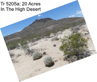 Tr 5205a: 20 Acres In The High Desert