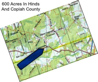 600 Acres In Hinds And Copiah County