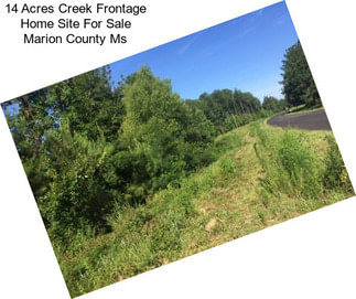 14 Acres Creek Frontage Home Site For Sale Marion County Ms