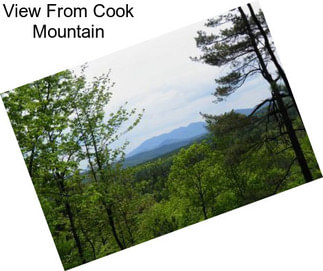 View From Cook Mountain