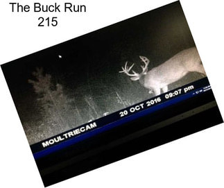 The Buck Run 215