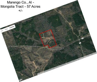 Marengo Co., Al - Mongolia Tract - 57 Acres +/-