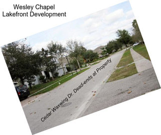 Wesley Chapel Lakefront Development