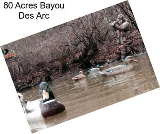 80 Acres Bayou Des Arc