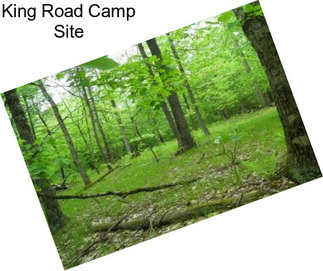 King Road Camp Site