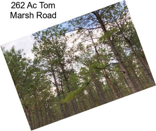 262 Ac Tom Marsh Road