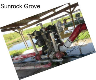 Sunrock Grove