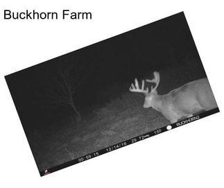 Buckhorn Farm