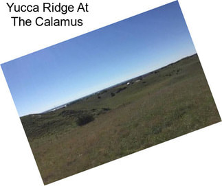 Yucca Ridge At The Calamus