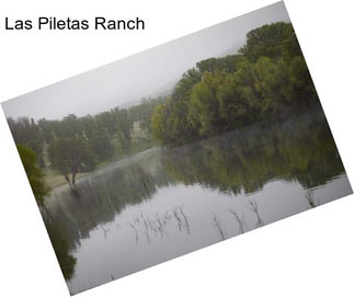 Las Piletas Ranch