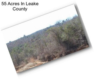 55 Acres In Leake County