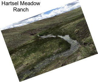 Hartsel Meadow Ranch