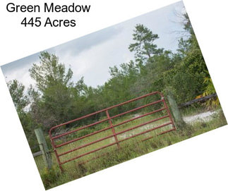 Green Meadow 445 Acres