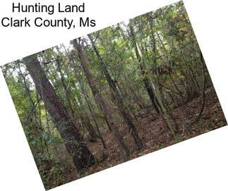 Hunting Land Clark County, Ms